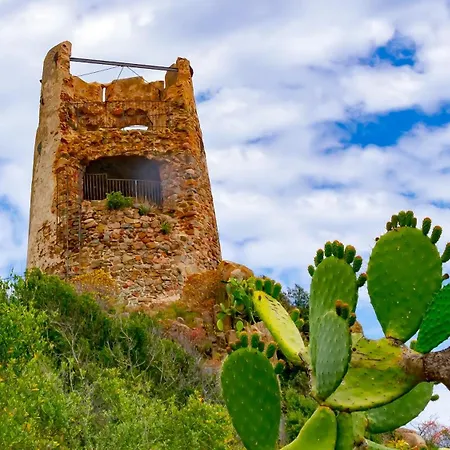 Orchid House Appartement *
