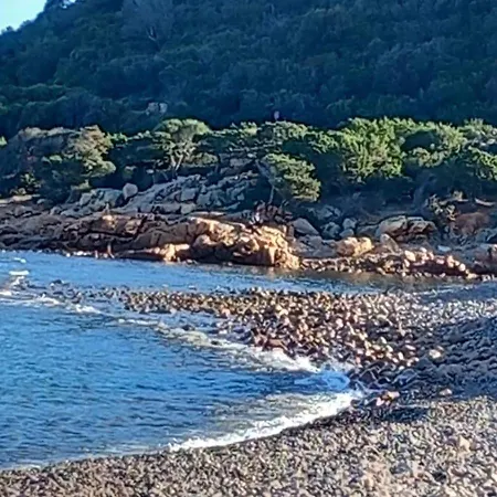 Appartement Orchid House *