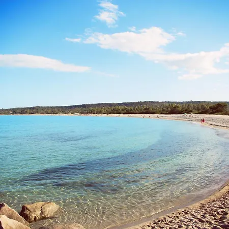 Orchid House Bari Sardo