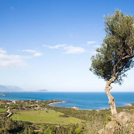 Appartement Orchid House