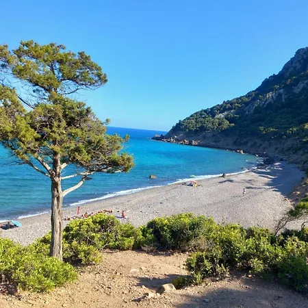 Orchid House Appartement *