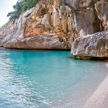 Orchid House Lejlighed