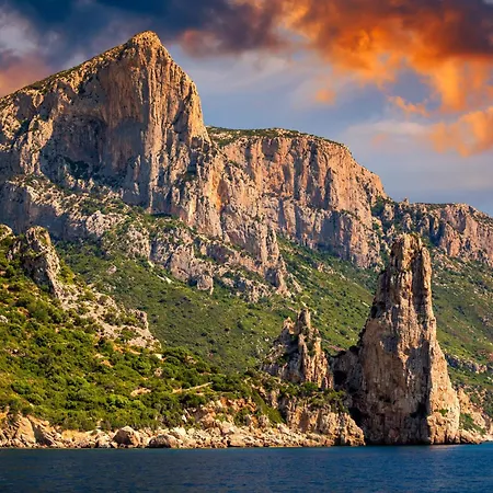 Orchid House Appartement *