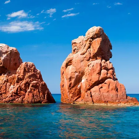 Orchid House Lejlighed